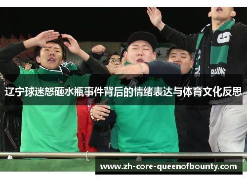 辽宁球迷怒砸水瓶事件背后的情绪表达与体育文化反思