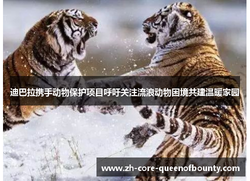 迪巴拉携手动物保护项目呼吁关注流浪动物困境共建温暖家园