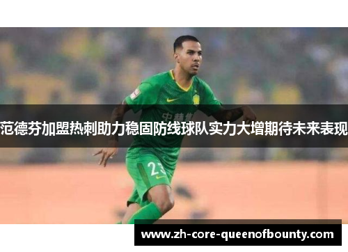 范德芬加盟热刺助力稳固防线球队实力大增期待未来表现