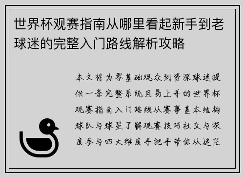 世界杯观赛指南从哪里看起新手到老球迷的完整入门路线解析攻略